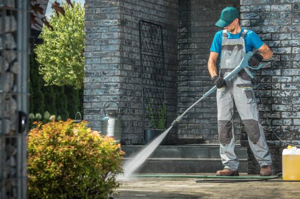 Best Gutter Cleaning  in Forty Fort, PA